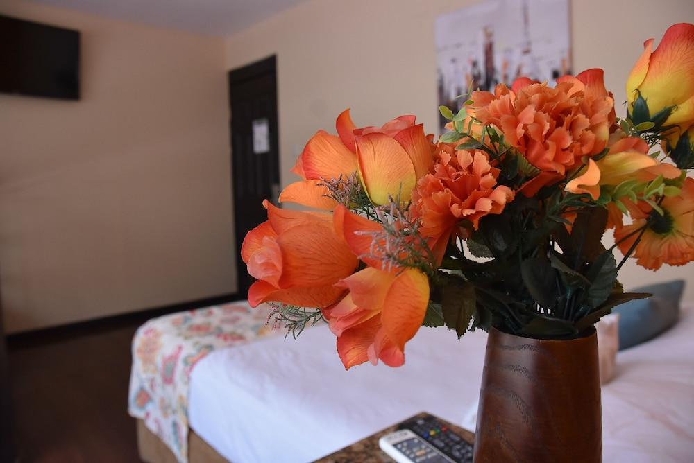 Hotel Casa Colon San José Esterno foto